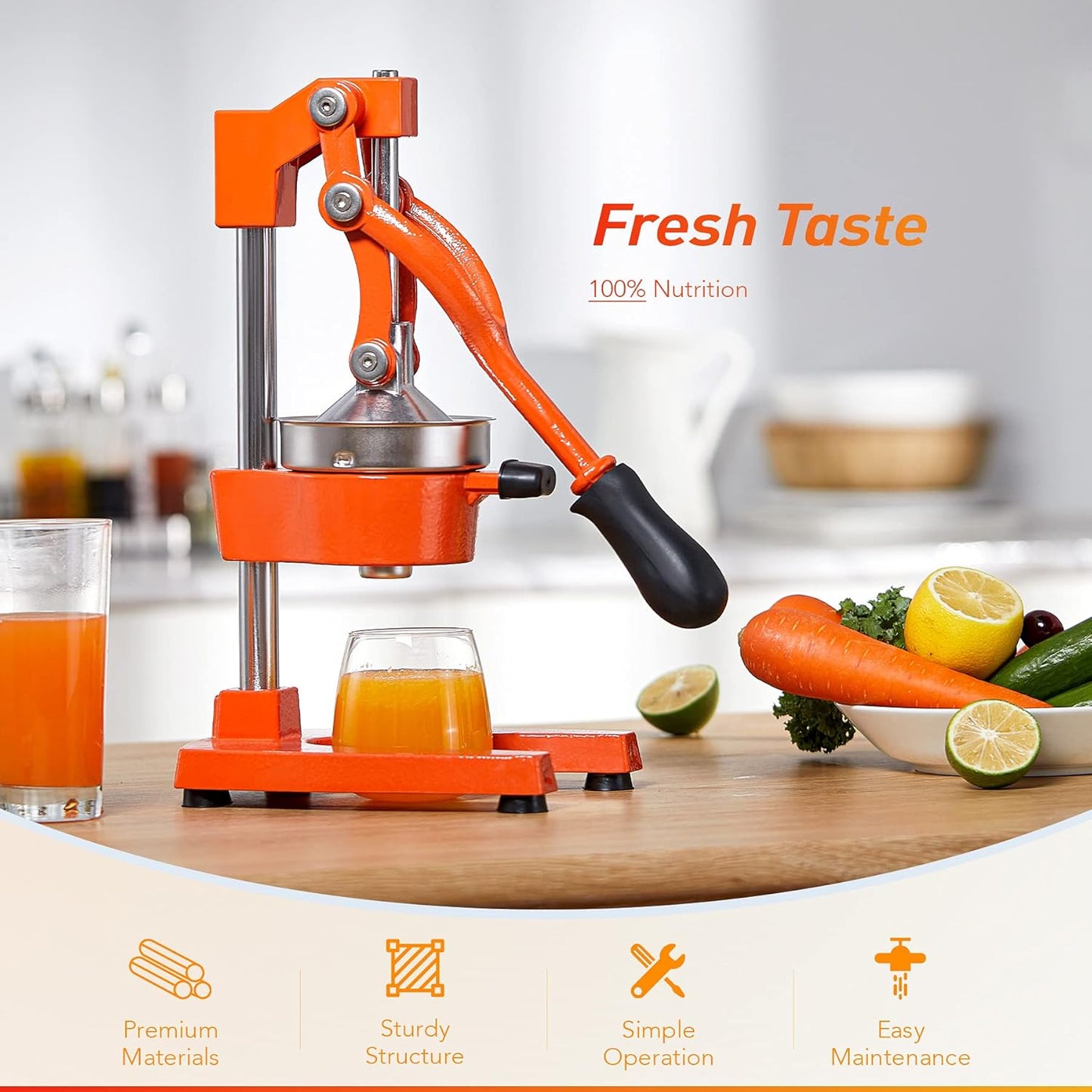 Manual Hand Press Juicer