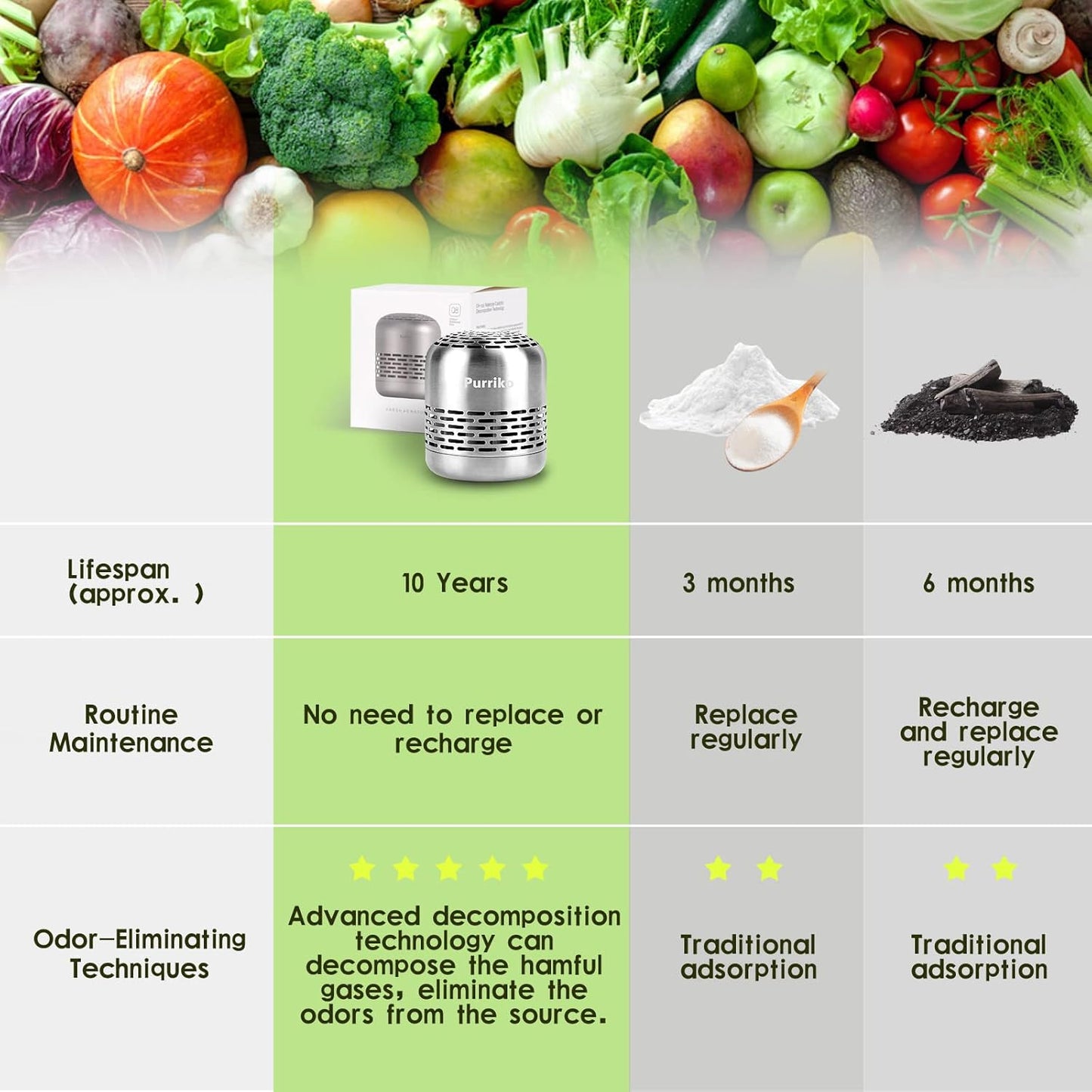 10-Year Refrigerator Deodorizer