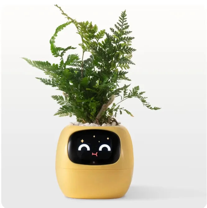 Ivy Smart Planter - Alerts you when it needs water