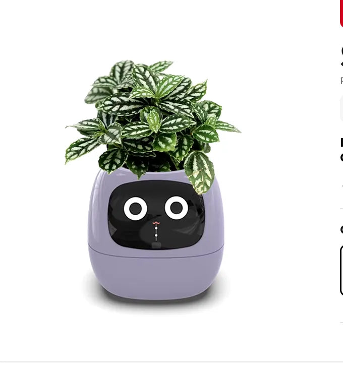 Ivy Smart Planter - Alerts you when it needs water