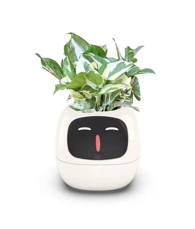 Ivy Smart Planter - Alerts you when it needs water