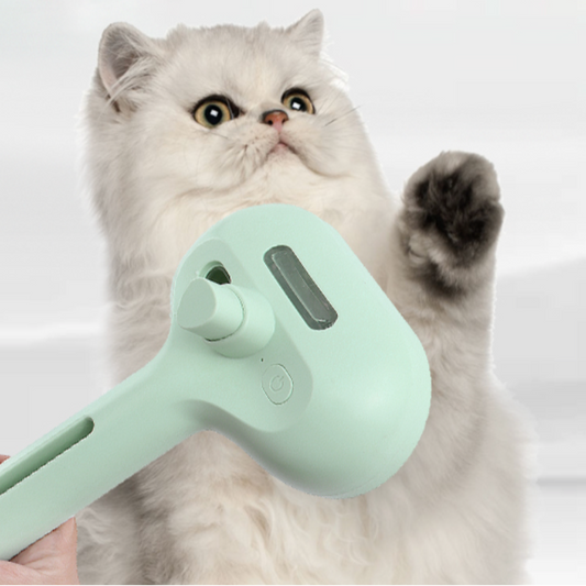 Spray Pet Grooming Brush with Water Sprayer